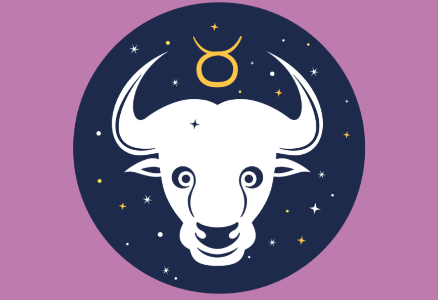 Screenshot_172 Stier