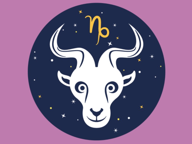 Screenshot_180 Steinbock