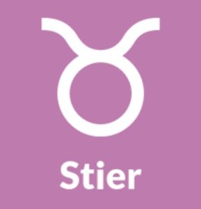Stier