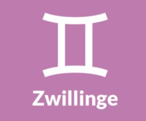 Zwillinge